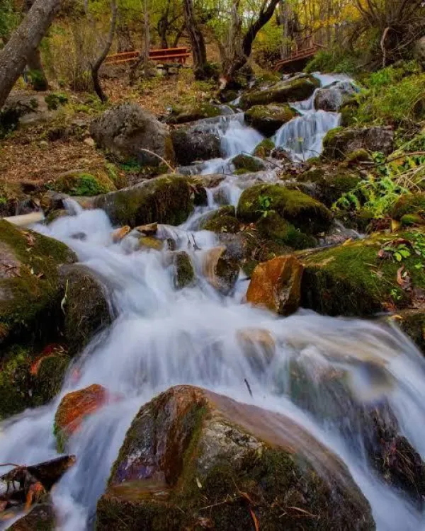 69d673125e1043.88151606