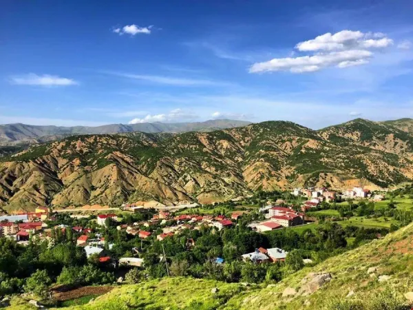 69d673161ec7a3.16874033