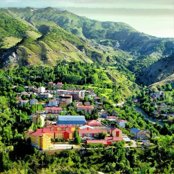 69d67319988c09.24325615