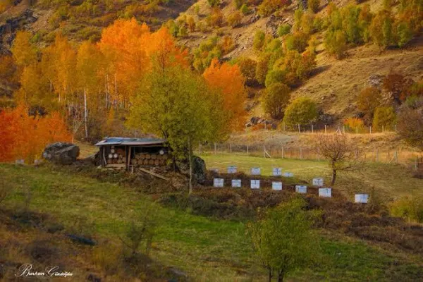 69d673293e71d7.70469422