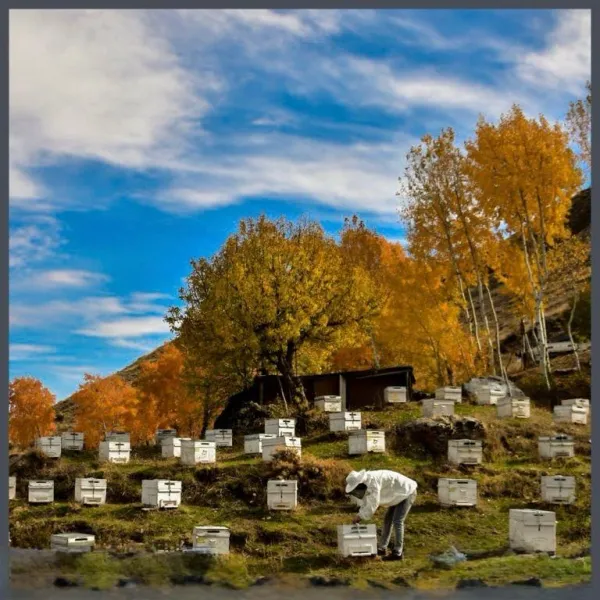 69d6732f3e2528.73107699